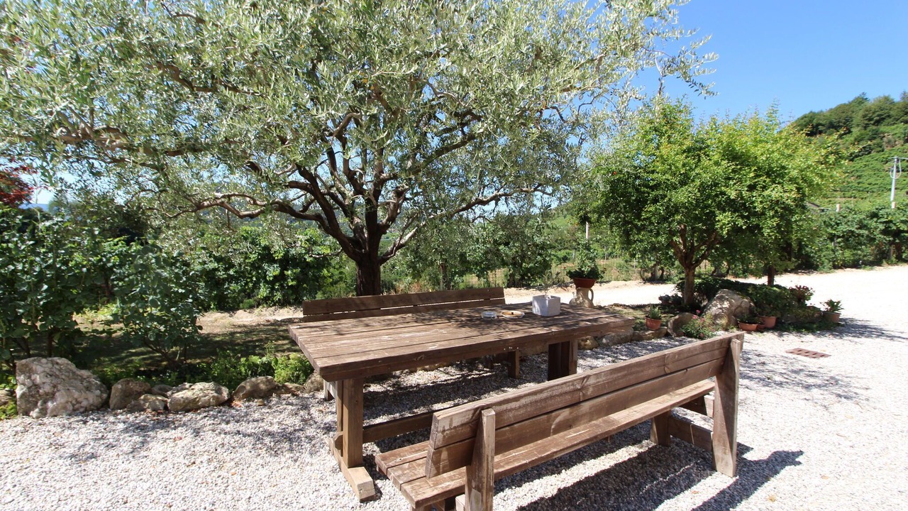 Photo of Outdoor in Miane