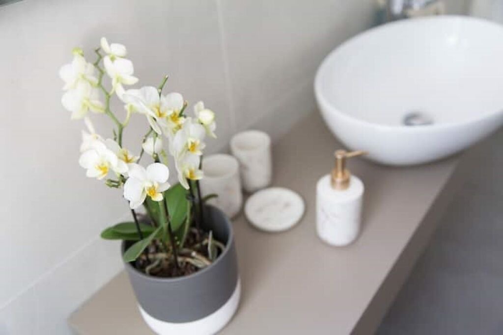 Photo of Bathroom in Porto