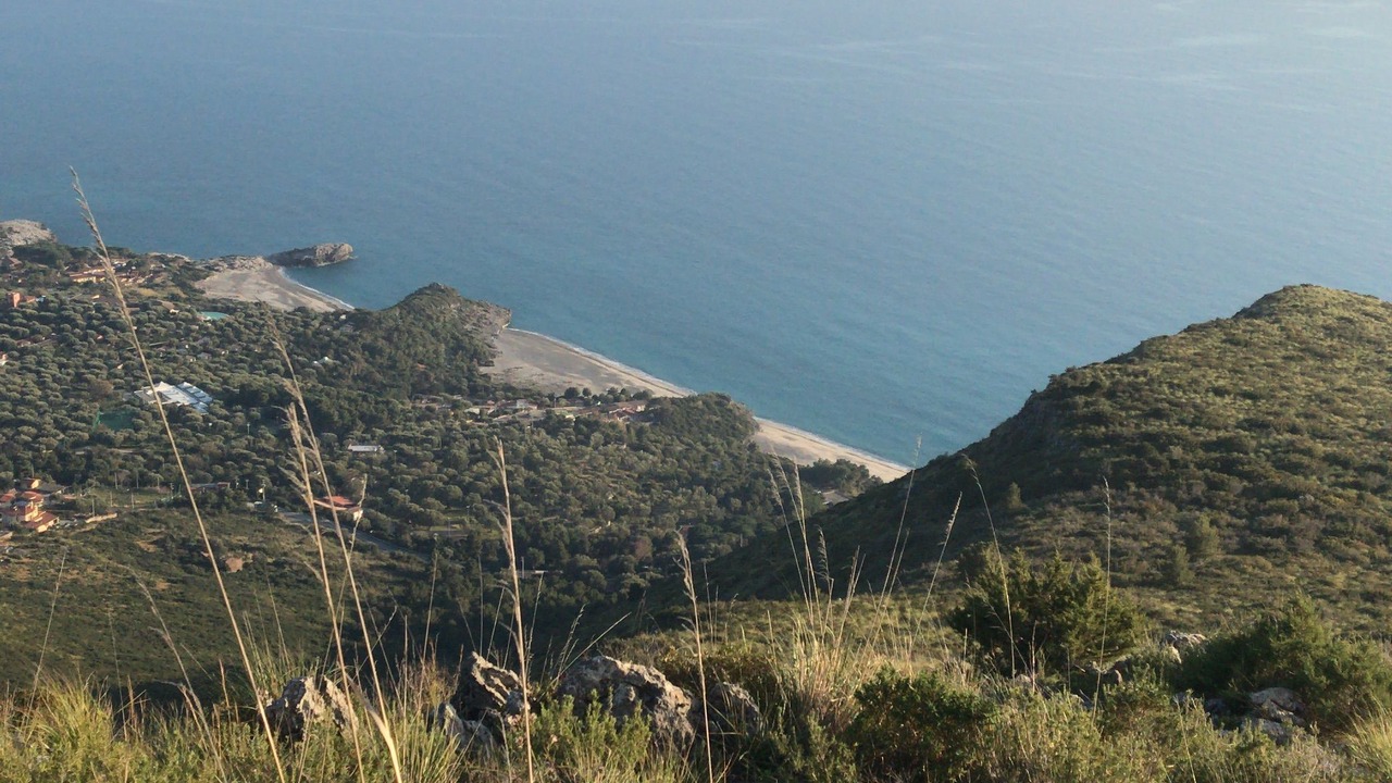 Photo of Others in Camerota