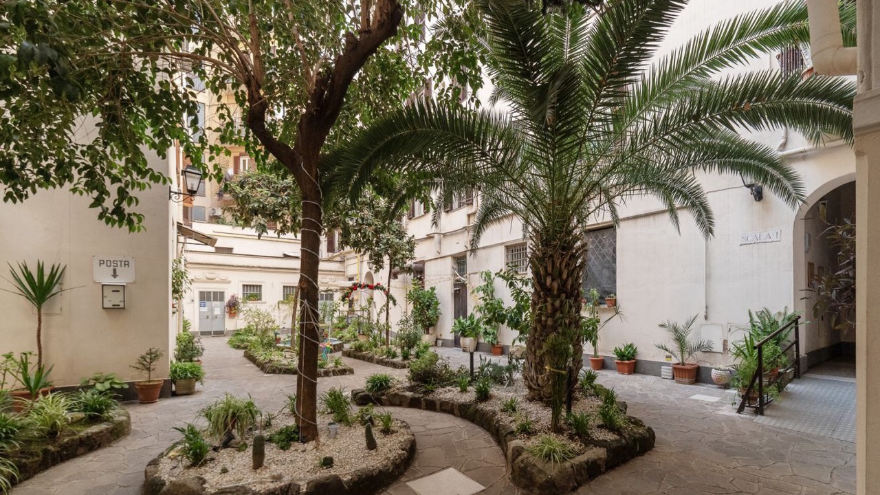 Photo of Outdoor in San Lorenzo
