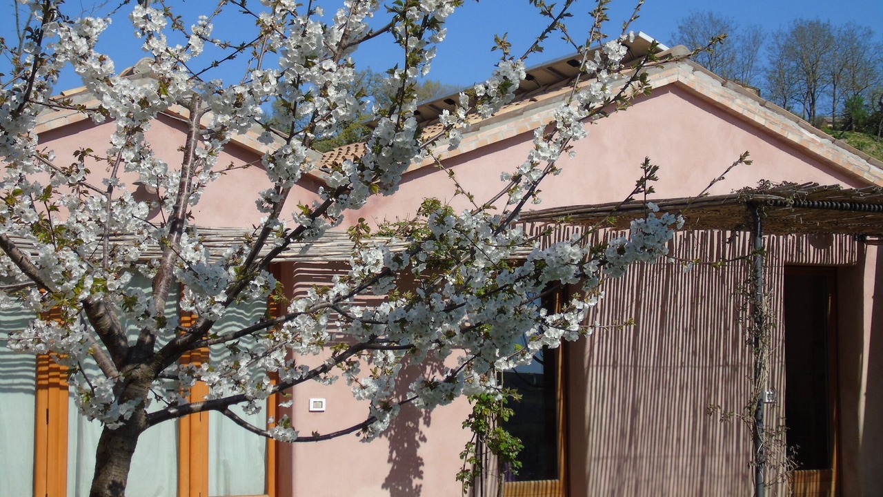 Photo of Outdoor in Barchi