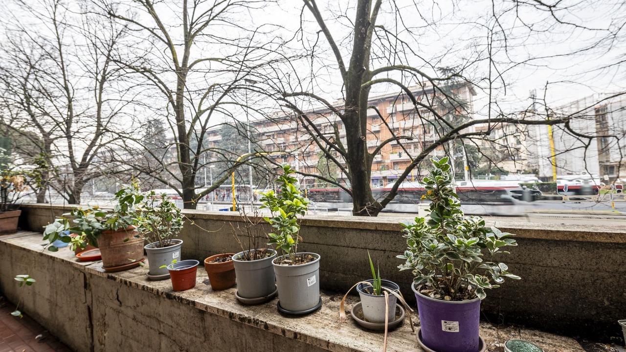 Photo of Outdoor in Isolotto