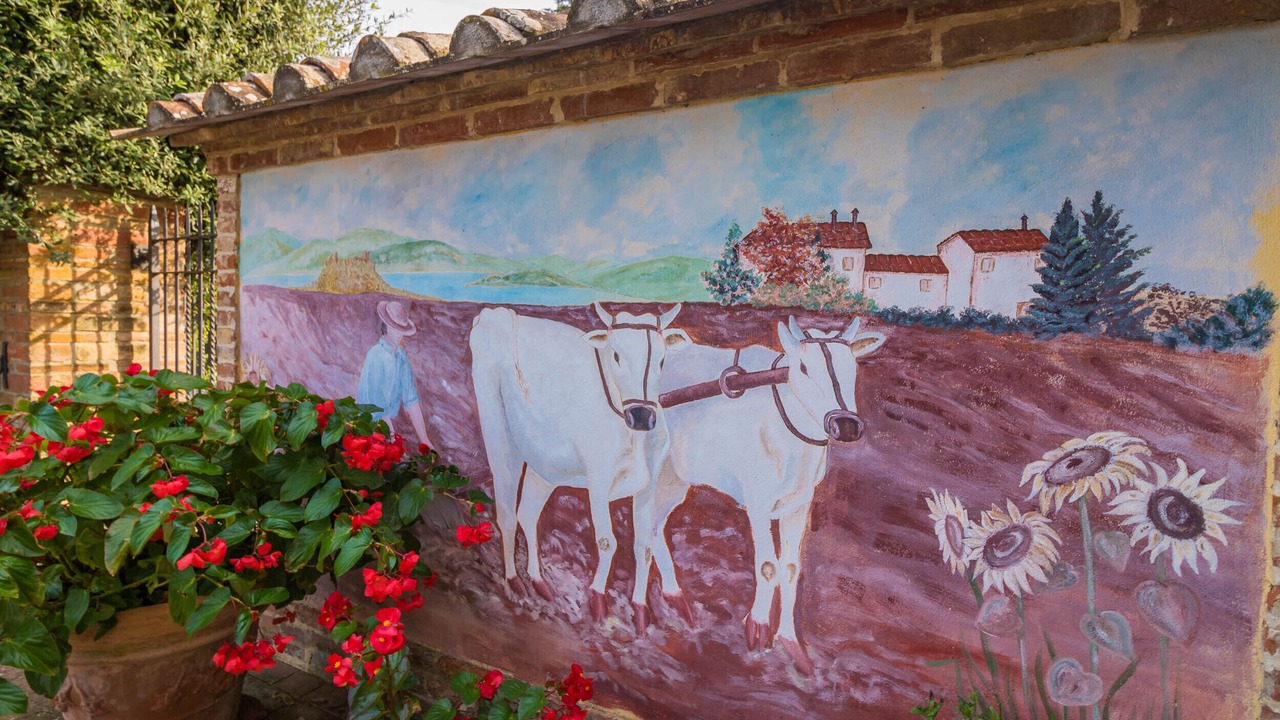 Photo of Others in Casamaggiore