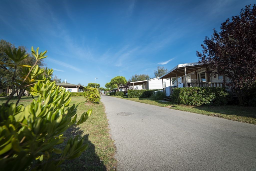 Photo of Outdoor in Lido di Pomposa