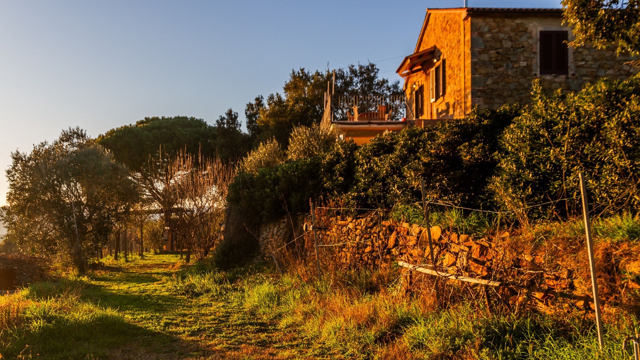 Photo of Others in Magliano in Toscana