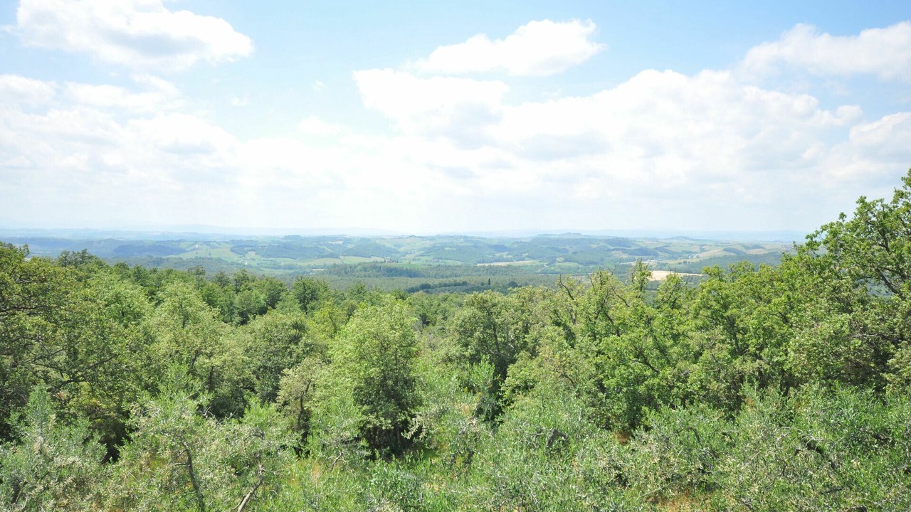 Photo of Outdoor in Torre A Castello