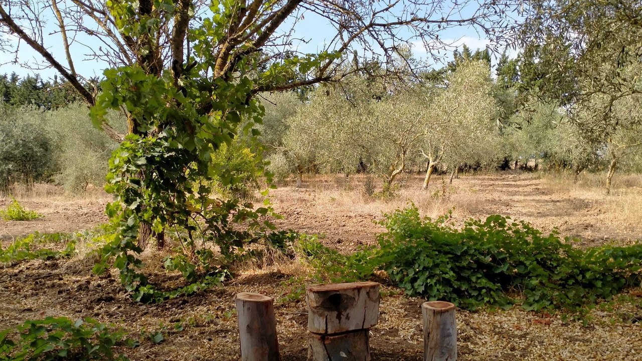 Photo of Outdoor in San Salvatore