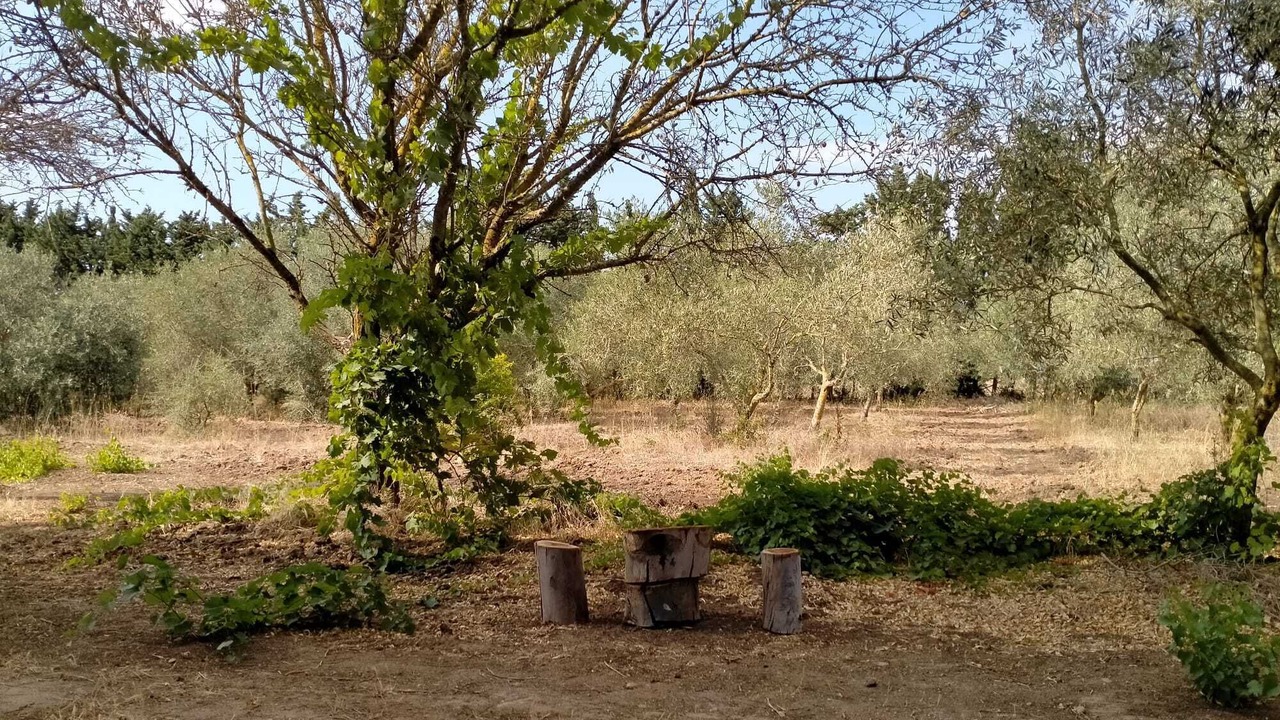 Photo of Outdoor in San Salvatore