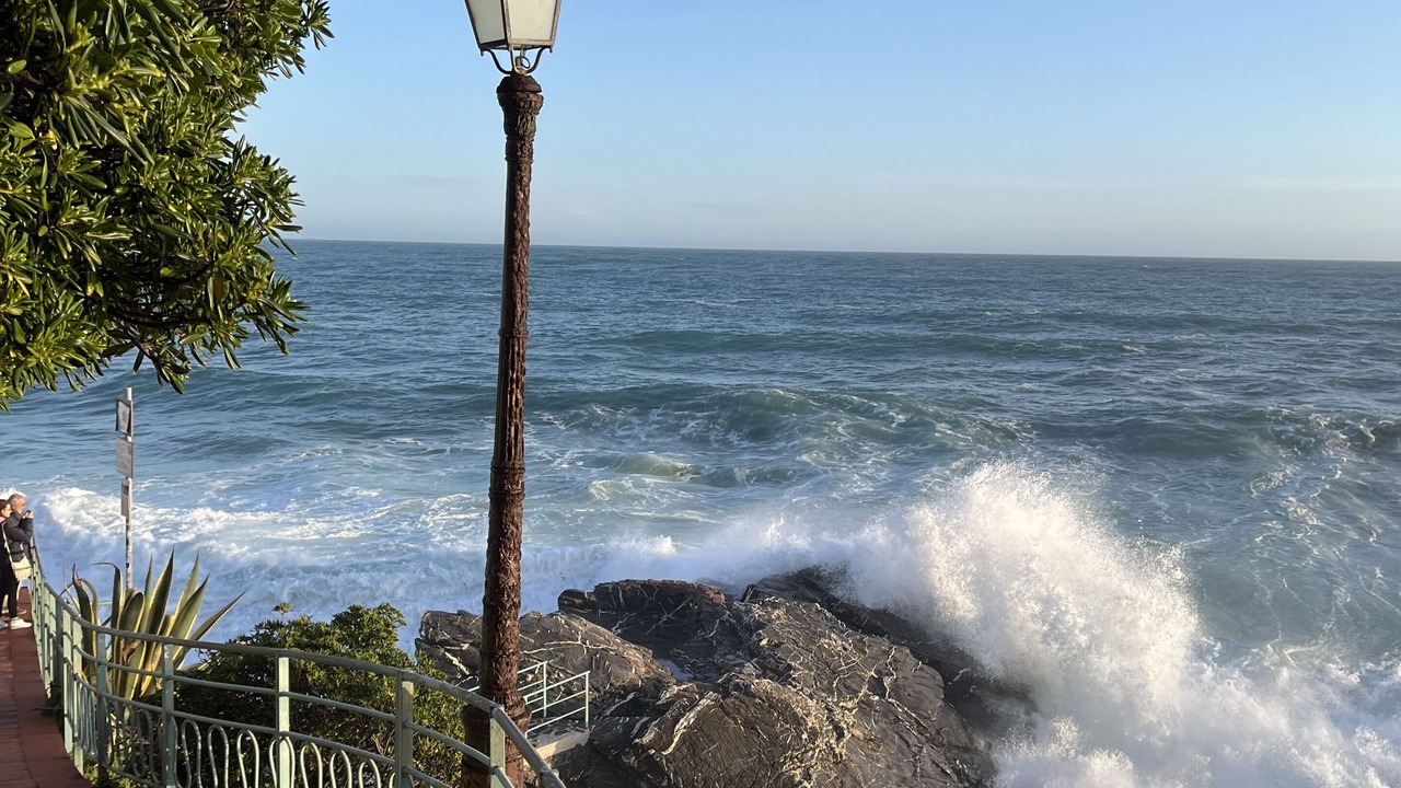 Photo of Outdoor in Genoa