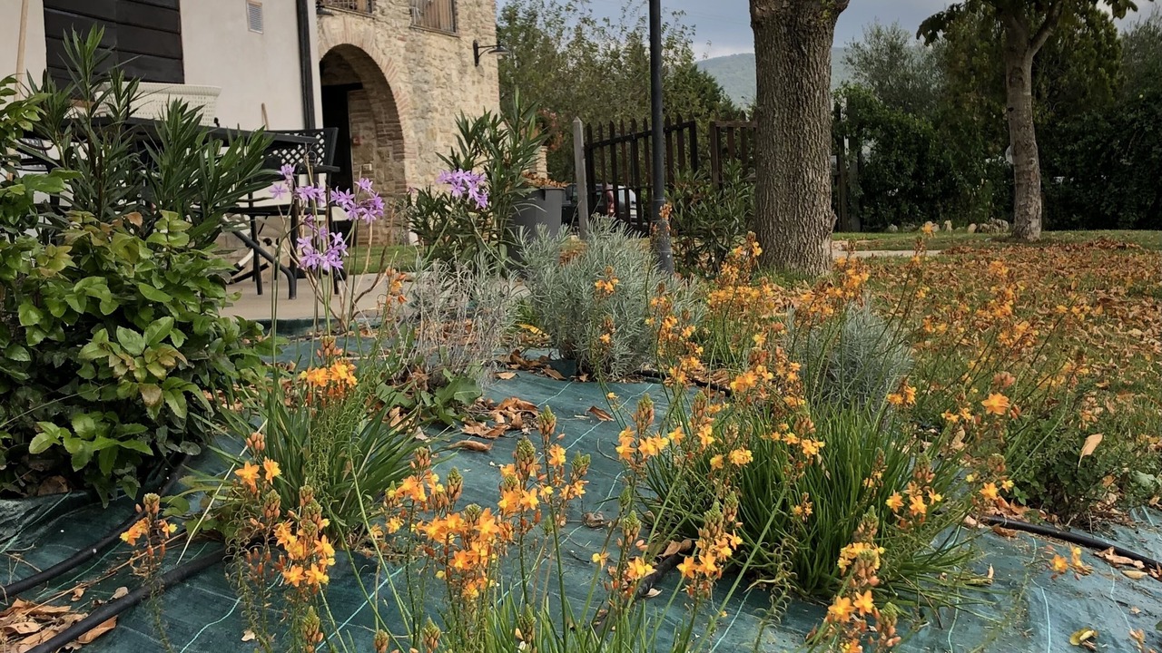 Photo of Outdoor in Acquasparta