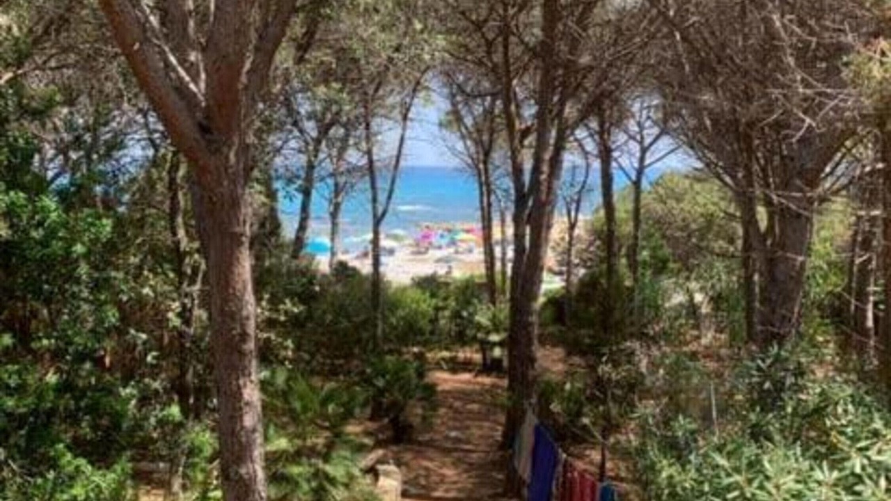 Photo of Others in Cala Liberotto