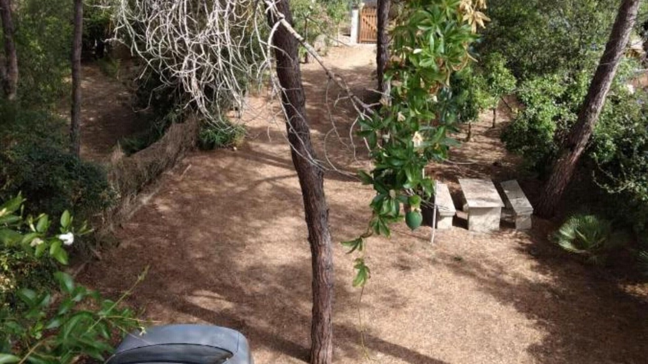 Photo of Outdoor in Cala Liberotto