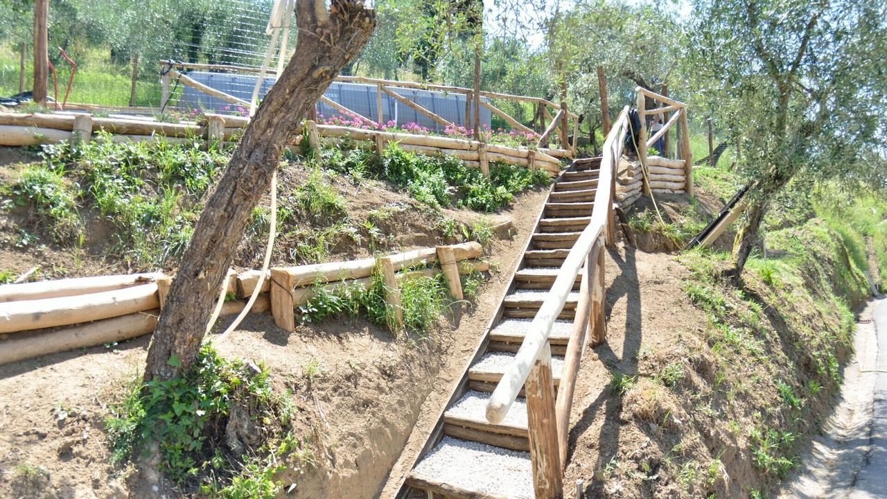 Photo of Outdoor in Nozanno