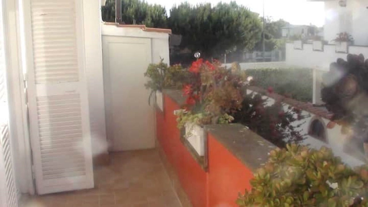 Photo of Outdoor in Campo Ascolano