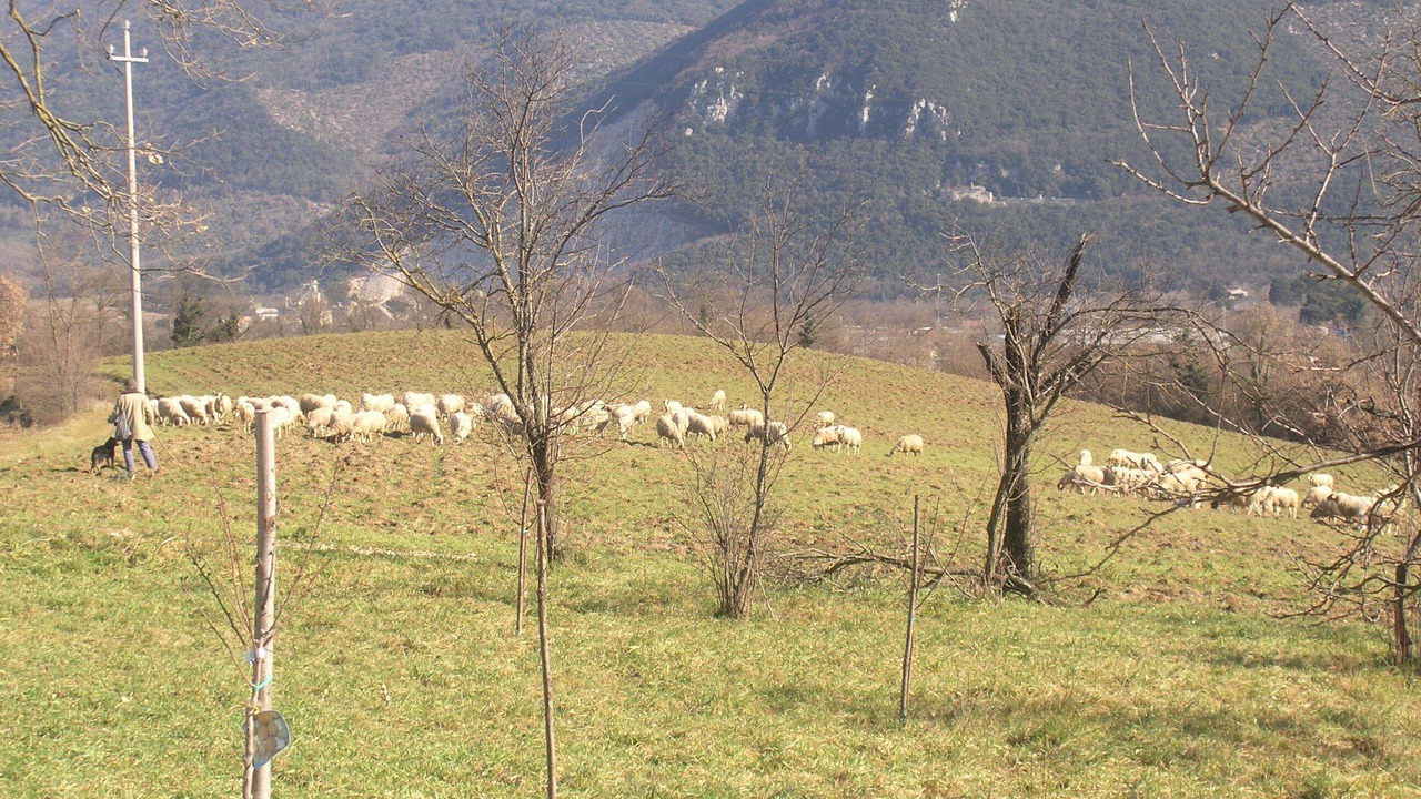 Photo of Outdoor in Acquasparta