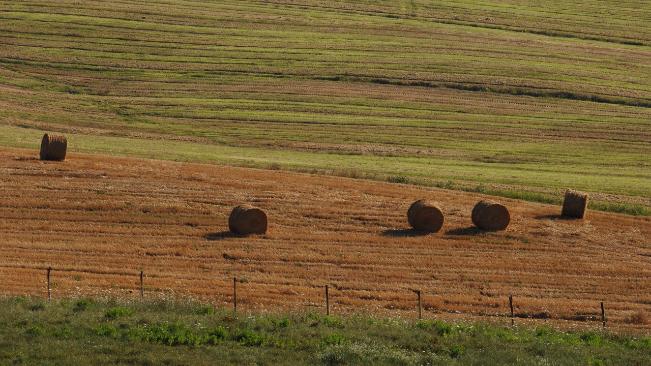 Photo of Outdoor in Acquasparta