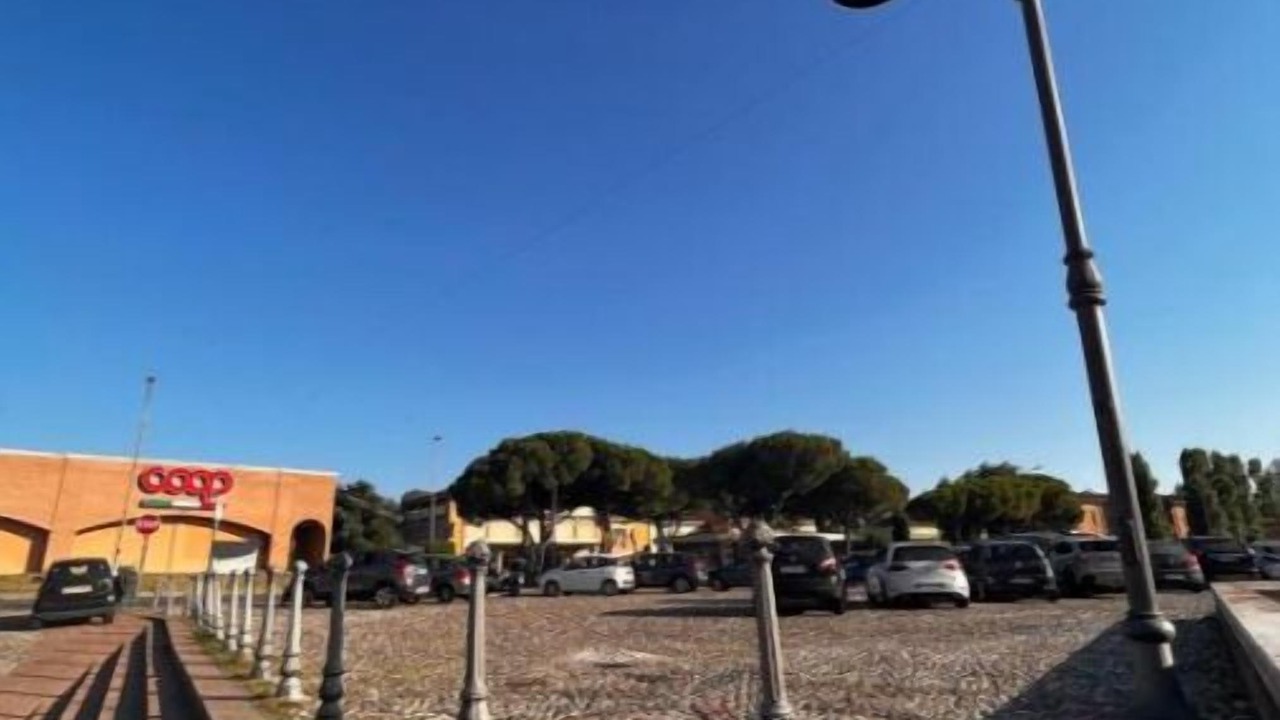 Photo of Others in Comacchio