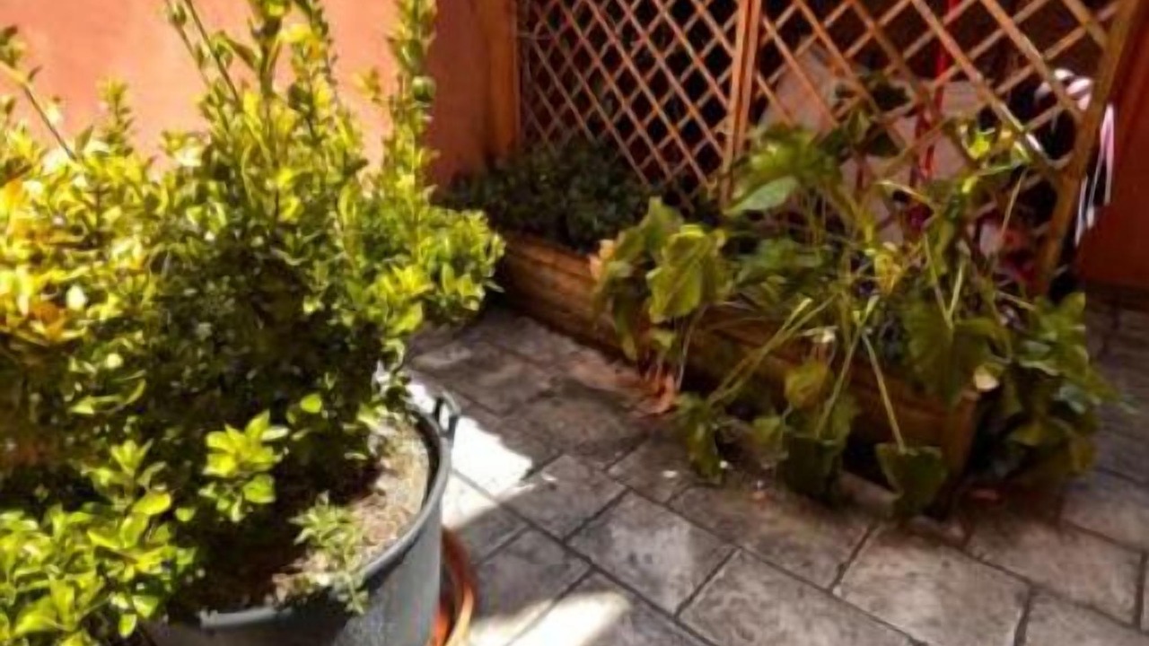 Photo of Outdoor in Comacchio