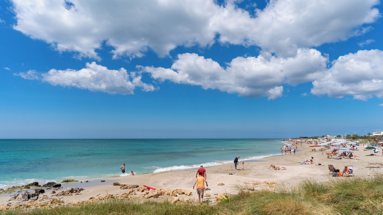 Photo of Others in Torre Mozza