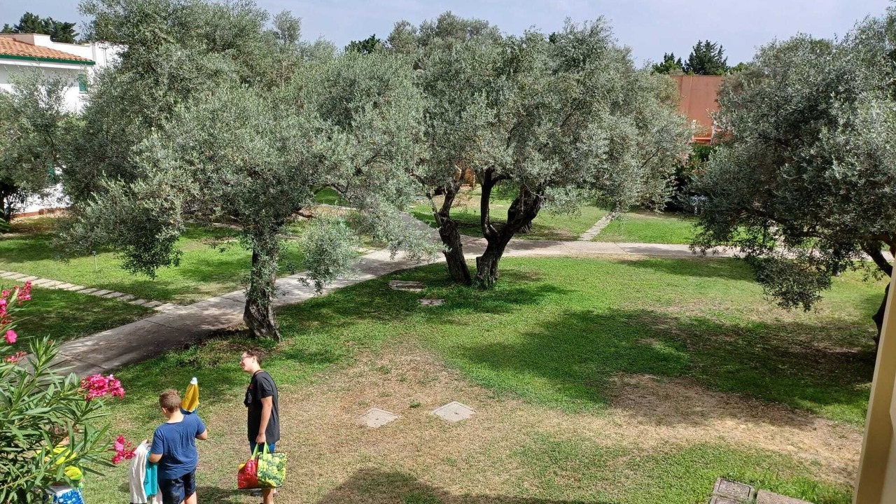 Photo of Outdoor in Sant'Andrea Apostolo dello Ionio