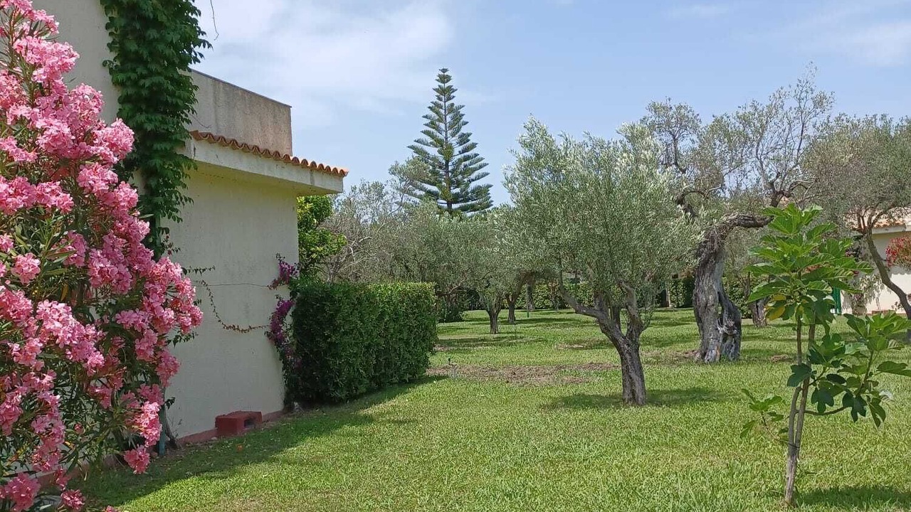 Photo of Outdoor in Sant'Andrea Apostolo dello Ionio
