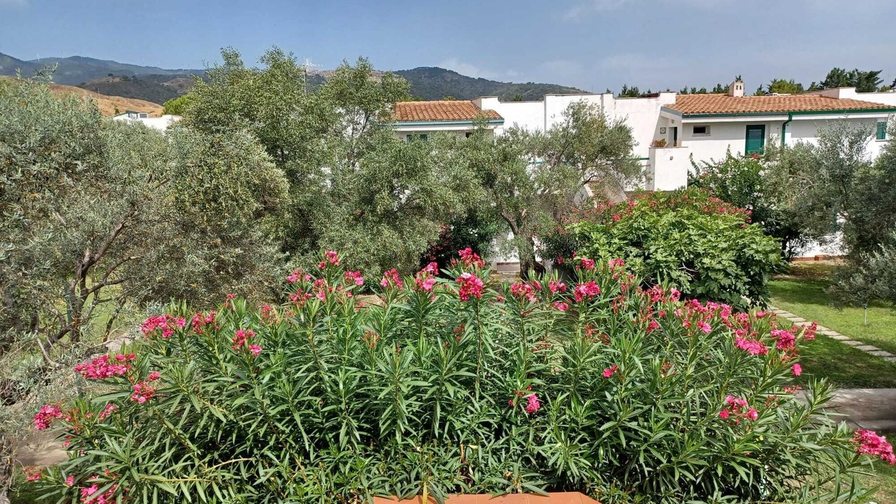 Photo of Outdoor in Sant'Andrea Apostolo dello Ionio