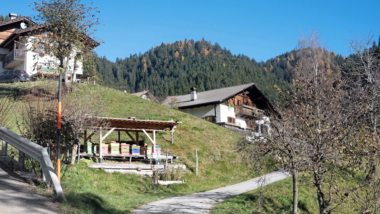 Photo of Outdoor in Lauregno