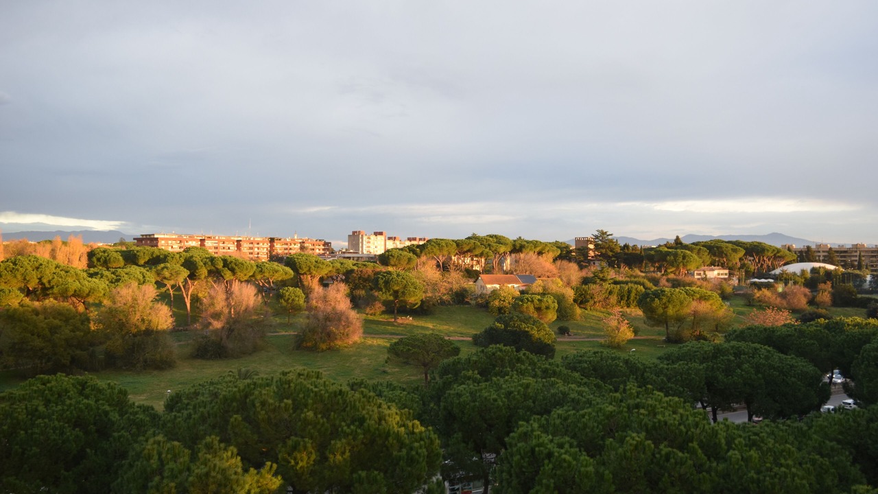 Photo of Others in Quartiere XXIX Ponte Mammolo