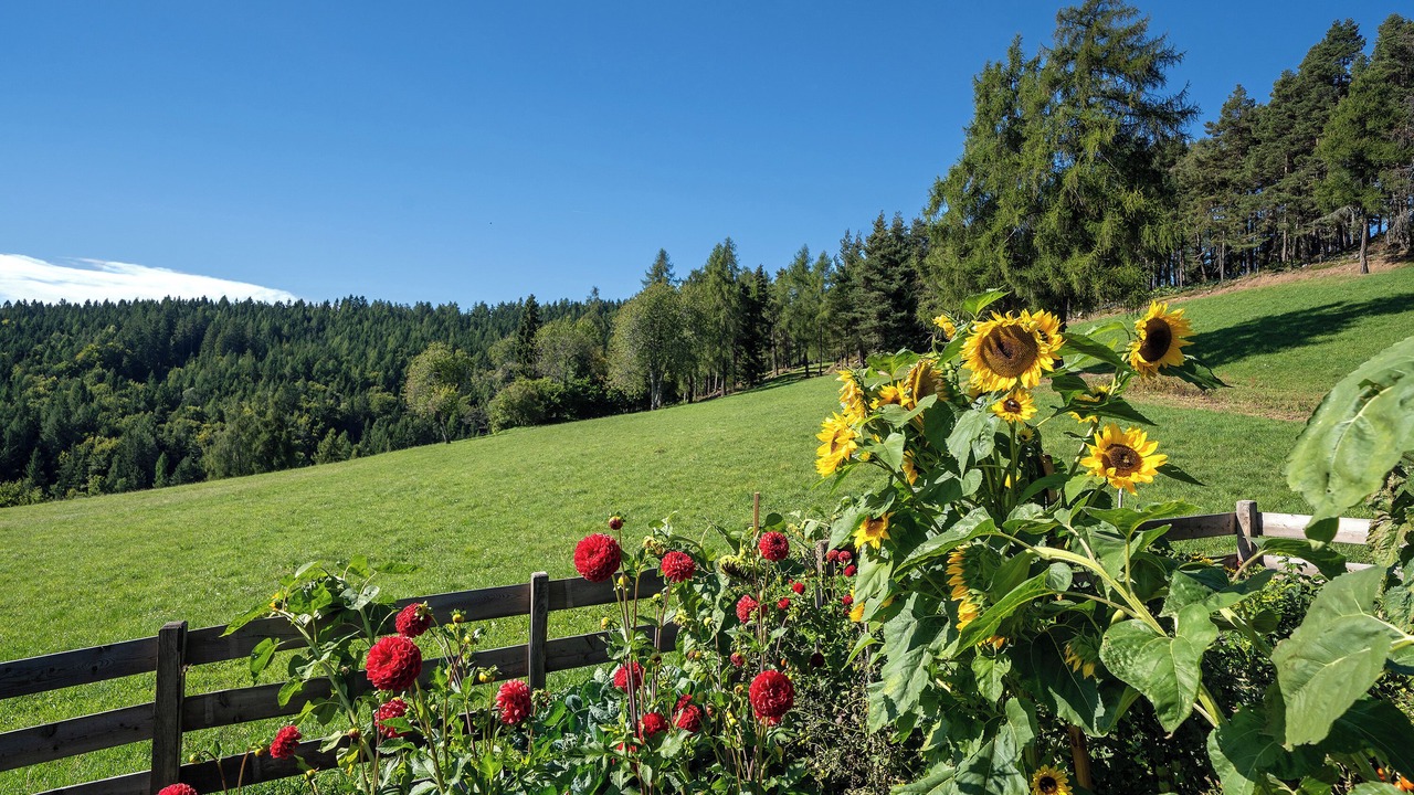 Photo of Outdoor in San Genesio Atesino