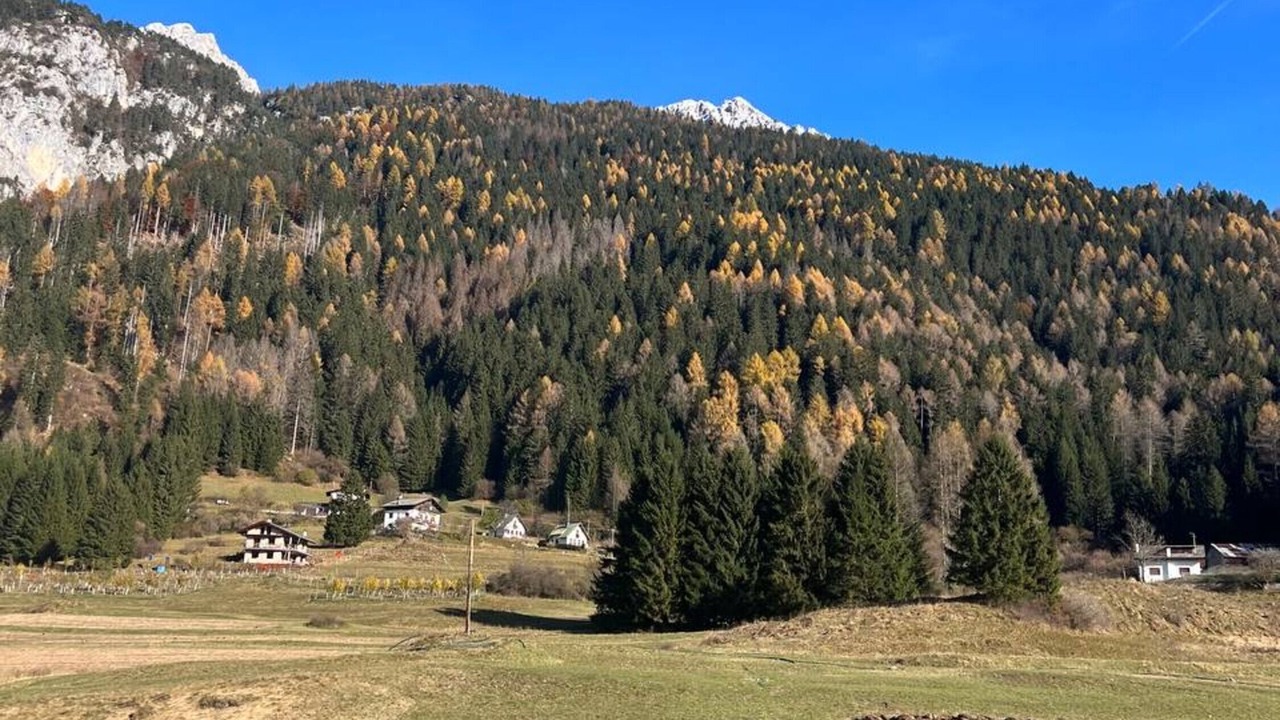 Photo of Others in Vigo di Cadore