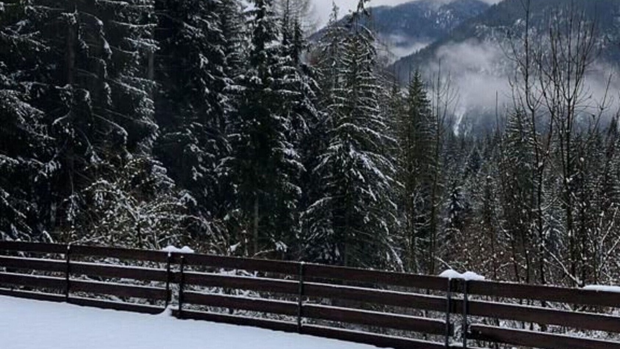 Photo of Others in Vigo di Cadore