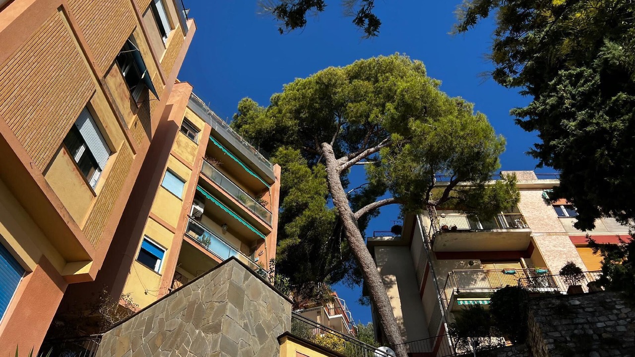Photo of Outdoor in Pieve Ligure