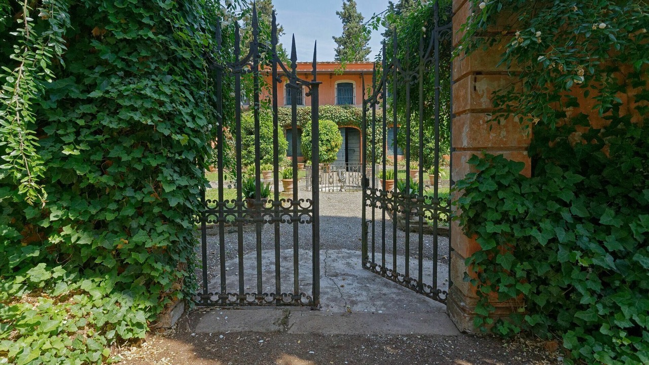 Photo of Outdoor in Vicopelago