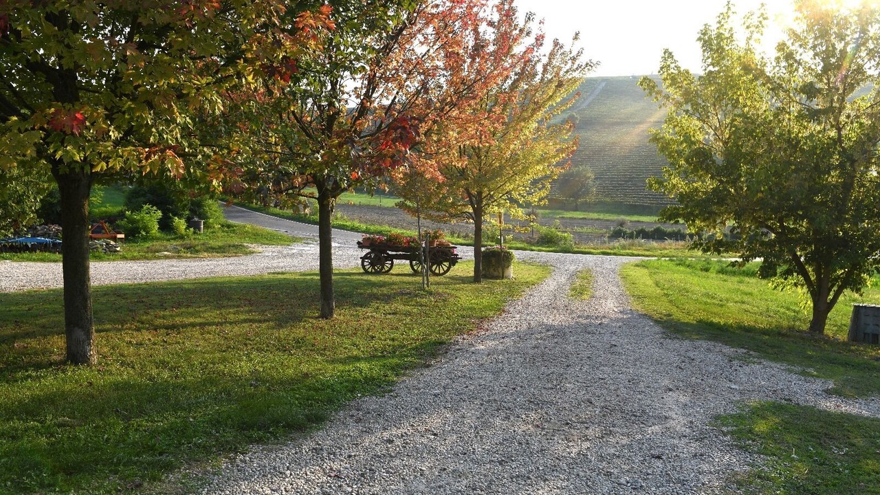 Photo of Outdoor in Castiglione Tinella