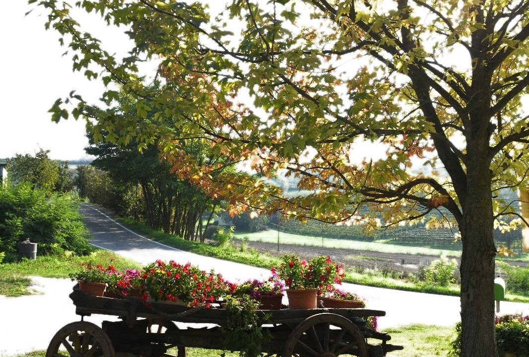 Photo of Outdoor in Castiglione Tinella