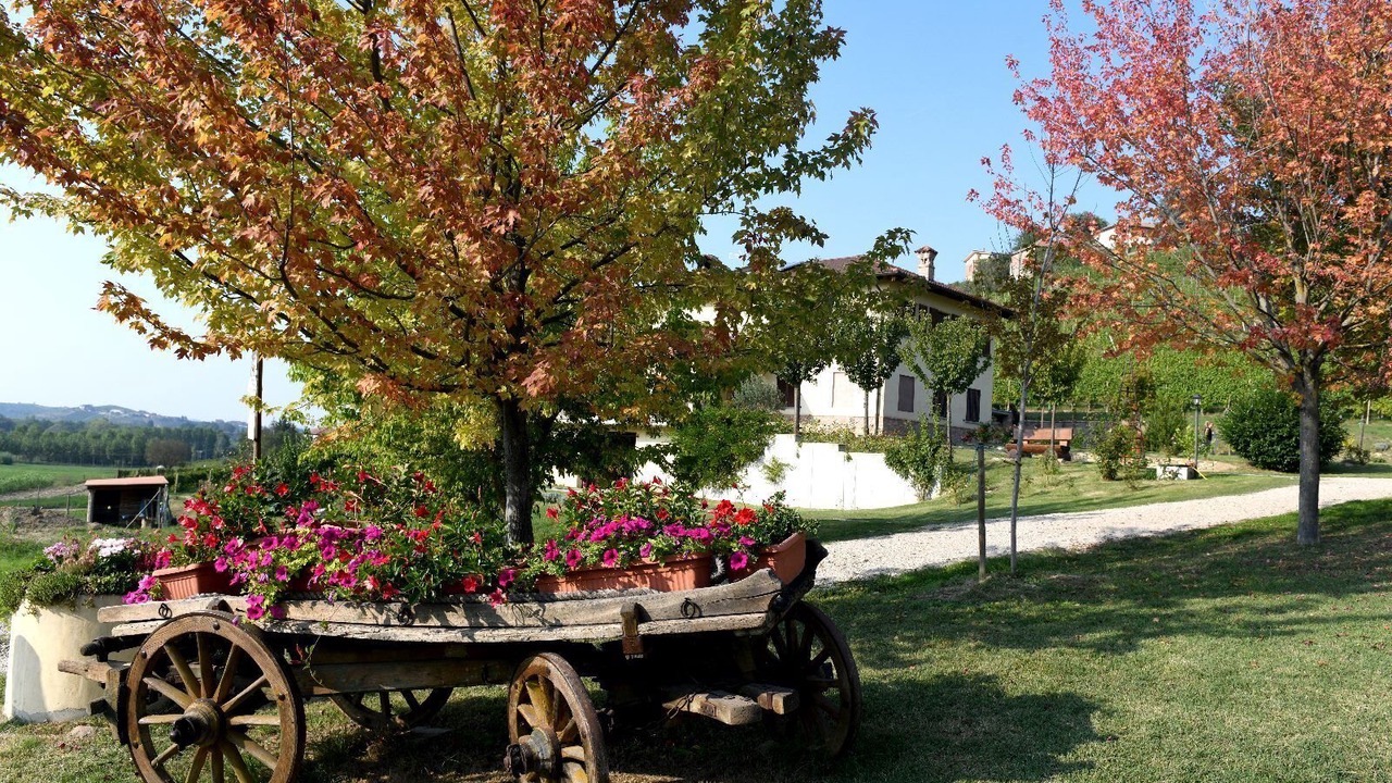 Photo of Outdoor in Castiglione Tinella
