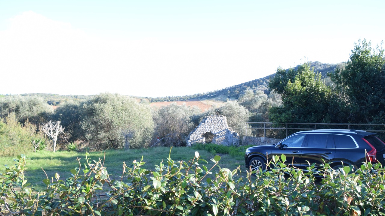 Photo of Outdoor in Ansedonia
