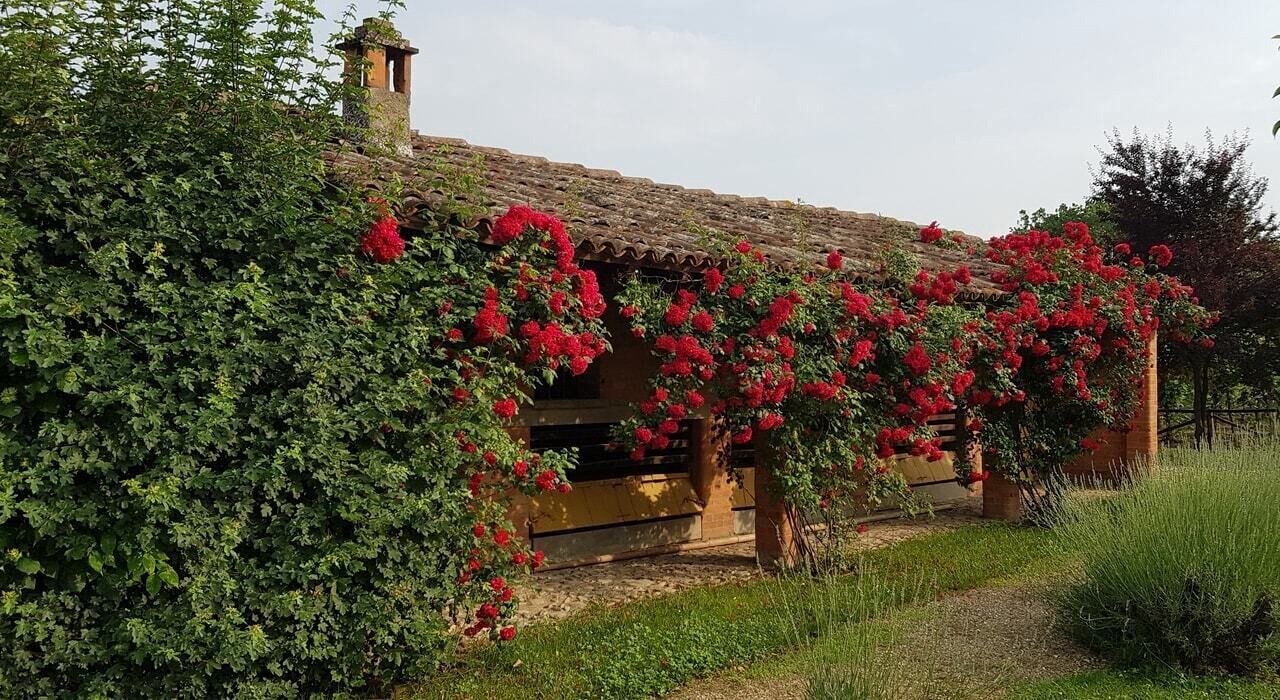 Photo of Outdoor in Brisighella