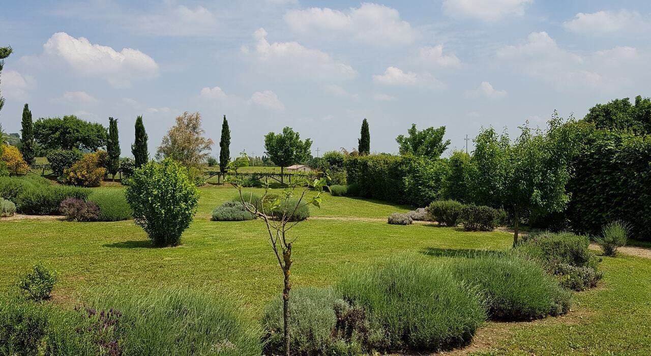 Photo of Outdoor in Brisighella