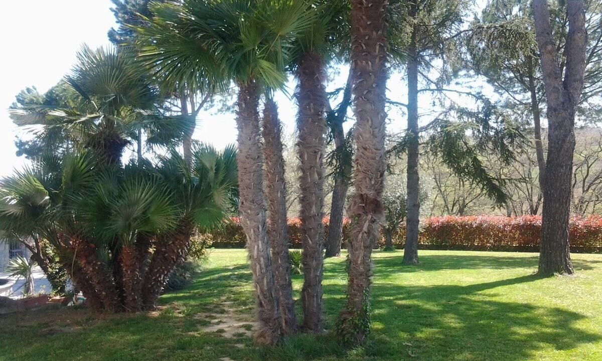Photo of Outdoor in Colbuccaro