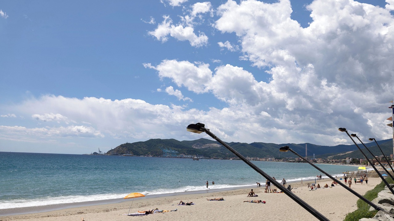 Photo of Others in Savona