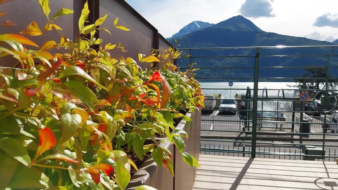 Photo of Outdoor in Calozzo