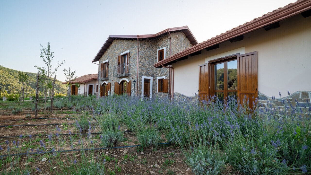 Photo of Outdoor in Perito