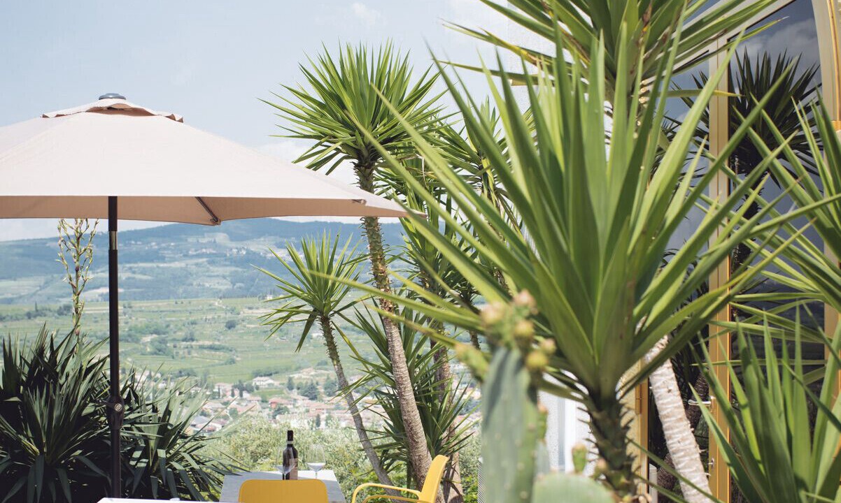 Photo of Outdoor in Negrar