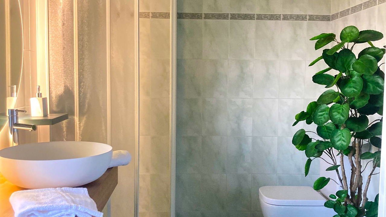 Photo of Bathroom in Negrar