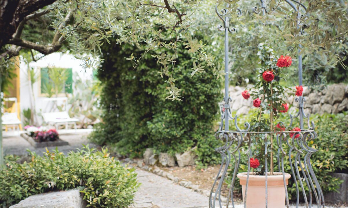 Photo of Outdoor in Negrar