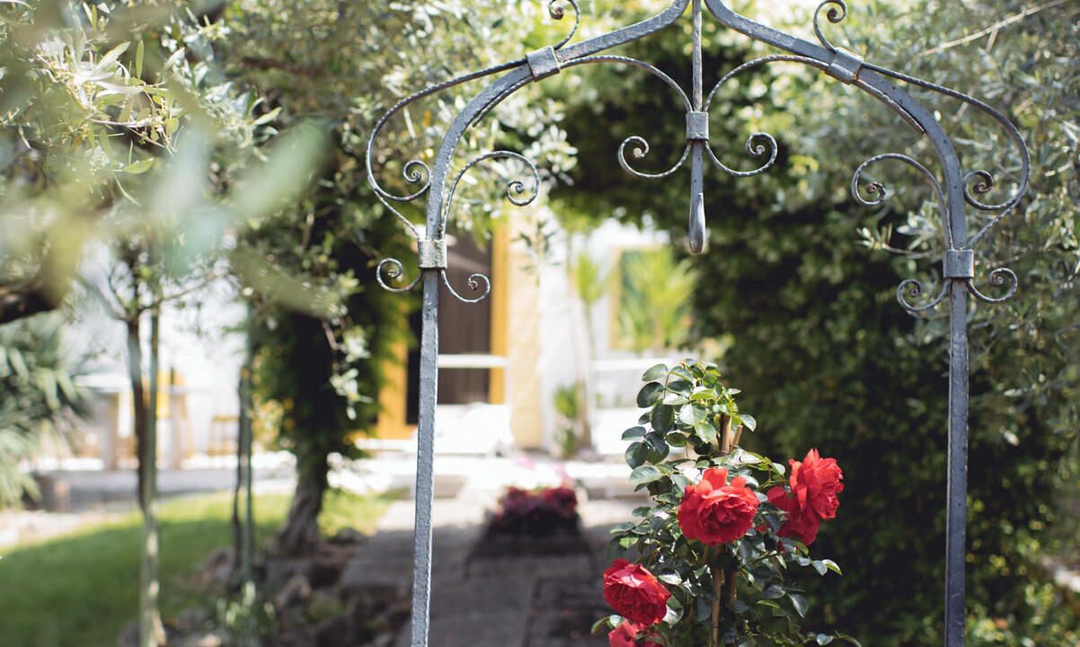 Photo of Outdoor in Negrar