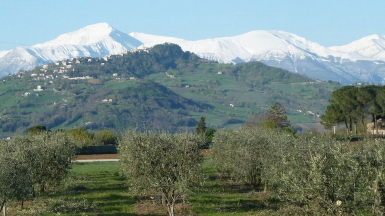 Photo of Outdoor in Falerone