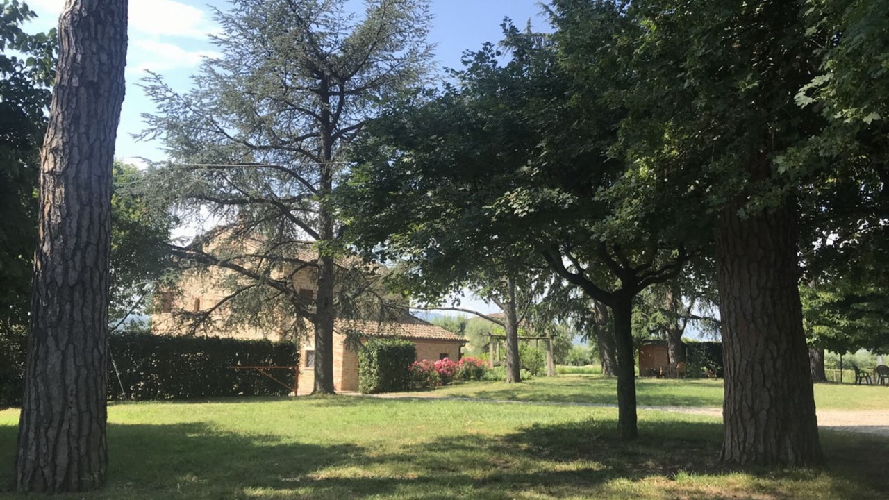 Photo of Outdoor in Falerone