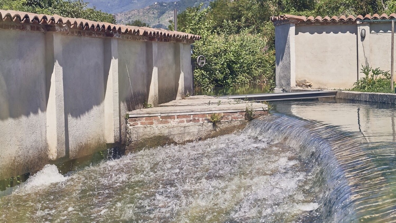 Photo of Others in Oglianico
